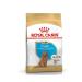Royal Canin Dog Bhn Poodle Junior Dog Food 3 Kg - Buy Online on GoSupps.com