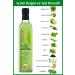 Hanzade Herbal Liquid Chlorophyll Cure Wheat Grass Added Plant Extracts 500 ML Glass Bottle - Buy Online on GoSupps.com