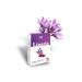 LINARIA Food Supplement Containing Saffron Extract (30 CAPSULES) - Buy Online on GoSupps.com