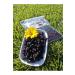Kg Dried Food Black Grape Dried (5 Kg) - Buy Online on GoSupps.com