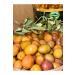 G LCAN HANIM'S FARM Manzalina Pink Scratched Olives Large Size 1 kg - Buy Online on GoSupps.com