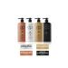 dp Daily Perfection Shampoo Pine Turpentine & Cotton Milk & Menthol & Black Cumin Oil 500 ml X 4 Piece Set
