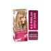 Garnier Color Natural Striking Color Paint 8.0 Dark Blonde - Buy Online on GoSupps.com