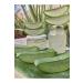 FidanBudur Alovera Gel Pure Aloe Vera Gel 425 Ml Whitening Anti Aging Drug-Free Production Aloe Vera Leaf Juice - Buy Online on GoSupps.com