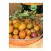 G LCAN HANIM'S FARM Manzalina Pink Scratched Olives Large Size 1 kg