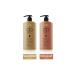 dp Daily Perfection Shampoo Black Cumin Oil & Shampoo Pine Turpentine 800 ml X 2 Pieces