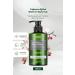 Kundal Shampoo for Problem Scalp Tea Tree & Macadamia Deep Cleansing Shampoo(CHERRY BLOSSOM)