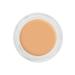 Kryolan Digital Complexion Cream Foundation Cream Foundation 12g 11000 O17