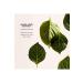 Shiseido Moisturizer for Dehydrated Skin Plumping Brightening Balancing Softener Passi.4617 - Buy Online on GoSupps.com