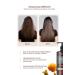 Kundal Anti-Breakage Nourishing Care Shampoo KUNDAL Honey & Macadamia Nature Shampoo 500ml White Musk - Buy Online on GoSupps.com