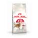 Royal Canin Fit 32 Adult Cat Food 10 Kg - Buy Online on GoSupps.com