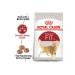 Royal Canin Fit 32 Adult Cat Food 10 Kg