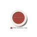 The Saem Sebum Controlling Single Powder Blush - Saemmul Single Blusher- Persimmon Juice
