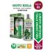 Biocure Anti Hair Loss Gotu Kola Herbal Care Shampoo for Weak and Falling Hair 10 Plants 4 Vitamins - Buy Online on GoSupps.com
