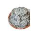 YOUR TRANSFERROR Dried White Dragon Fruit 50 Gr