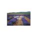 Lavande Lavender Farm Organic Lavender Dried Flower 500 Gr. - Buy Online on GoSupps.com
