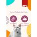 JAZZY General Cat Neutered Cat Food Salmon 12 Kg - Buy Online on GoSupps.com