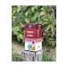 My Cure is in You Eucalyptus - Echinacea - Propolis Extract Miner's Uncle's Syrup 350 Gr - Buy Online on GoSupps.com
