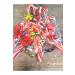 tl jewelry and design CHRISTMAS CANDIES 10 PIECES