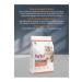 Reflex Reflex Kitten Chicken Rice Chicken Rice Cat Food 2Kg X 3Pack - Buy Online on GoSupps.com