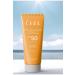 Home THE CEEL ANTI-SPOT SUNSCREEN - Buy Online on GoSupps.com