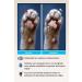 Metapet Natural Nano Silver Cat Paw Cleaning Foam Paw Wash Hygiene Care Brushed Foot Shampoo - Buy Online on GoSupps.com