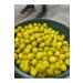 CERENAY Peppered olives - pepper stuffed olives 10 kg - Buy Online on GoSupps.com