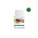 Nutrilite Milk Thistle Food Supplement with Milk Thistle Dandelion and Turmeric