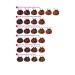 Neva Color Nevacolor Tube Hair Dye No: 4.0 Intense Brown - Buy Online on GoSupps.com
