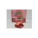 farmer lykia Strawberry Freeze Dried Fruit Chips - 10 pieces of 20gr Freeze Dried Strawberries - Buy Online on GoSupps.com