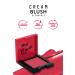 Madam accesorize Profashion 48 Cream Blush - Buy Online on GoSupps.com