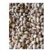 cahter 1. Quality Roasted Shelled Siirt Pistachios 400 gr - Buy Online on GoSupps.com