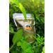 HOT VILLAGE Dried Mint Village Product 100 Gr