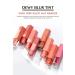 CLIO Blur Effect Moisturizing Light Textured Tint CLIO Dewy Blur Tint (02 Coral Dusty) - Buy Online on GoSupps.com