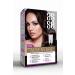asse Adventure Set Hair Dye Permanent and Vivid Colors Dual Use Set (NO4.64 CHESTNUT RED COPPER)