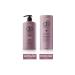 dp Daily Perfection Shampoo Clove Extract 500 ml & Hair Care Conditioner Clove Extract 350 ml