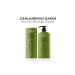 Daily Perfection Dp Shampoo Moringa Oil Shampoo 425 ml - Buy Online on GoSupps.com