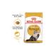 Royal Canin Adult Persian Iranian Cats Special 4 Kg Adult Dry Cat Food