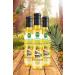 B OREAL Detox Pineapple Vinegar Slimming 1 Edema Removal Weight Loss 250ml - Buy Online on GoSupps.com