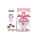 Royal Canin Kitten 36 Kitten Food 10kg - Buy Online on GoSupps.com