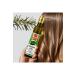 T JDA Rosemary Pure Hydrosol for Natural and Strong Hair Care 250 ml (Salvia Rosmarinus) - Buy Online on GoSupps.com