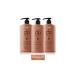 dp Daily Perfection Shampoo Black Cumin Oil 800 ml X 3 Pieces