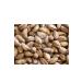 ALL FROM ANTEP Roasted Antep Pistachios Large Size Special 500 gr - Buy Online on GoSupps.com