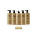 dp Daily Perfection Shampoo Pine Turpentine 500 ml X 5 Pieces