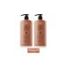 DP Daily Perfection Shampoo Black Cumin Oil 800 ml X 2 Pieces