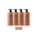 dp Daily Perfection Shampoo Black Cumin Oil 800 ml X 4 Pieces