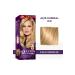 Wella Koleston Intense 8/0 Light Blonde