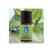 Nu-ka Laurel Essencia English Mint Aromatic Skin Care and Massage Oil 5ml - Buy Online on GoSupps.com