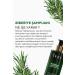 The Ceel Rosemary Shampoo Anti-Hair Loss and Helps Fast Growth Keratin Biotin and Collagen Essence 250 ml - Buy Online on GoSupps.com