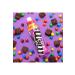 M&M's Drinks Brownie Flavored 350 ml Price - Installment Options - Buy Online on GoSupps.com
